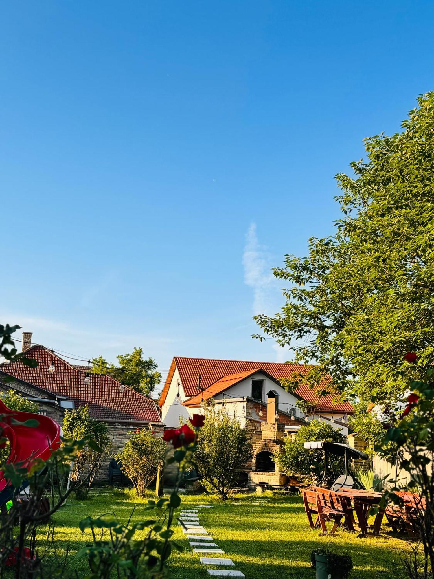 Pensiunea Schwartzy Hotel Mako Exterior photo